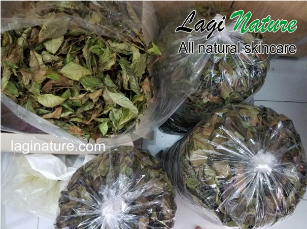 Screenshot 2021-05-07 160015.png (542 KB)